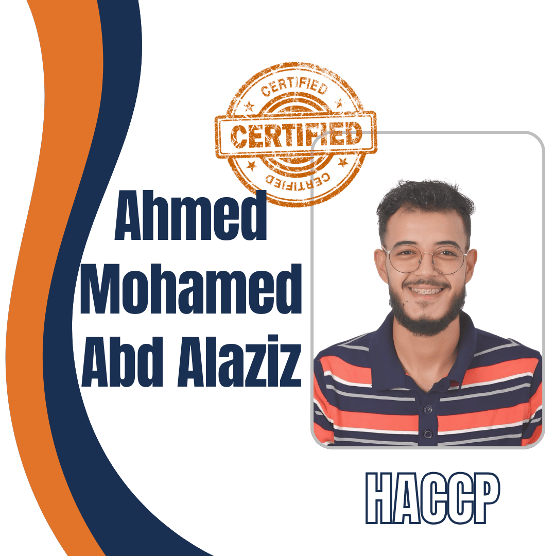 Ahmed Mohamed Abd Alaziz