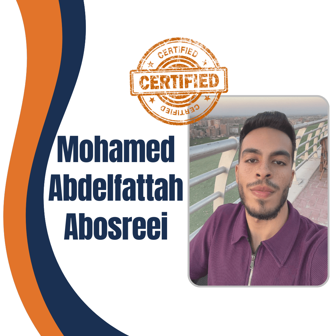 Mohamed Abdelfattah Abosreei