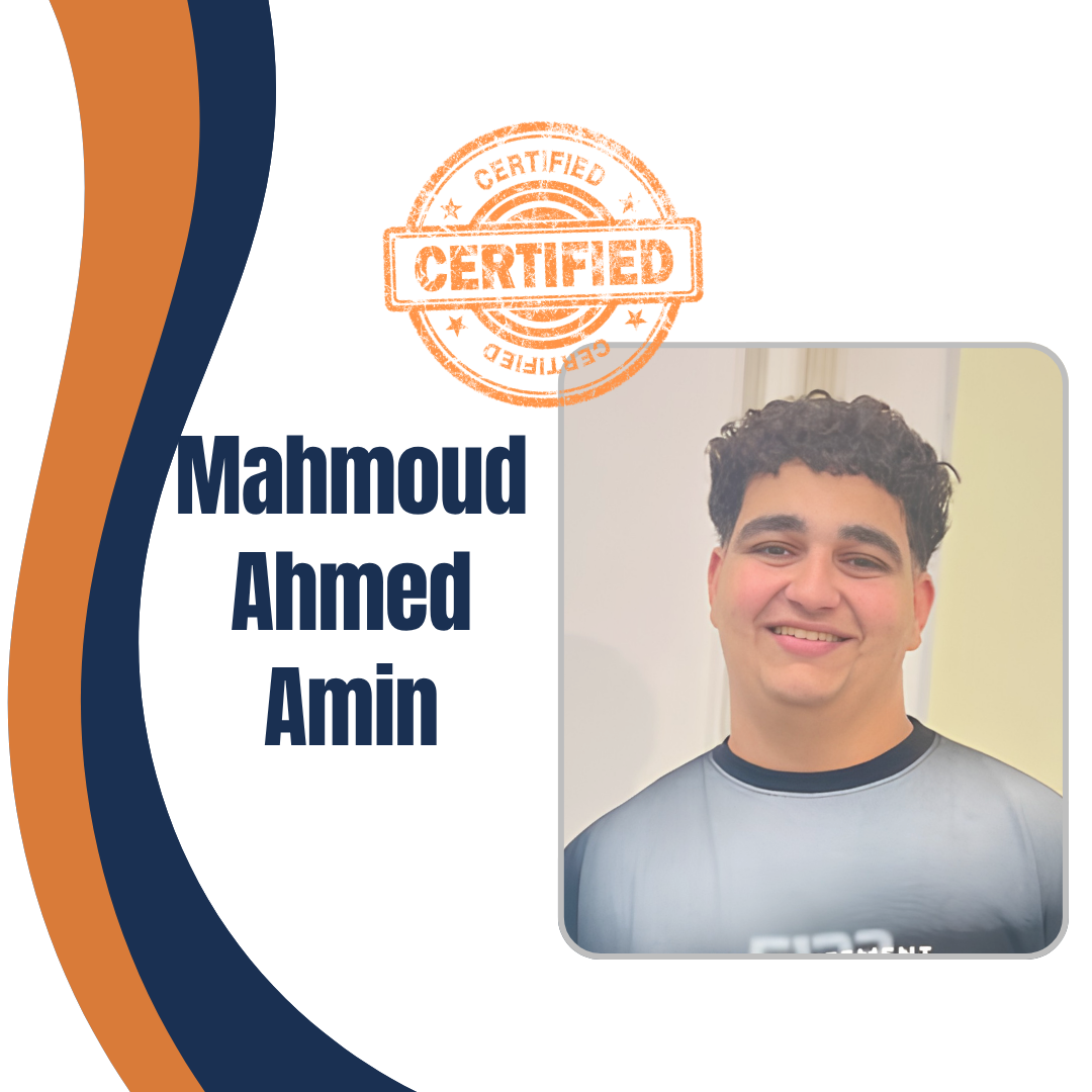 Mahmoud Ahmed Amin